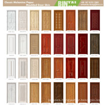 New design moulding wooden door skin